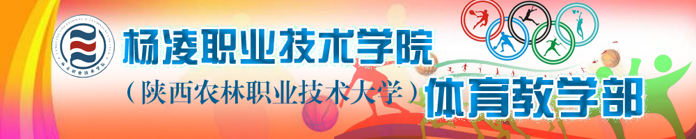 体育部